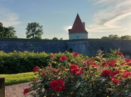 Saarenmaa Kuva: Visit Estonia