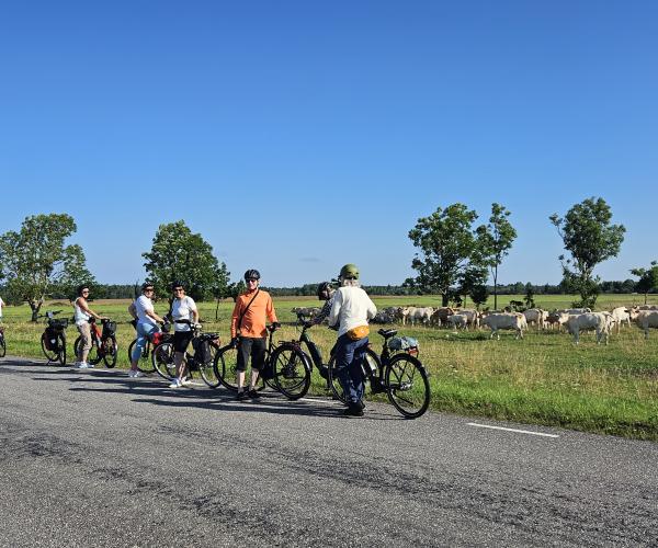 Pyörämatkalla Virossa