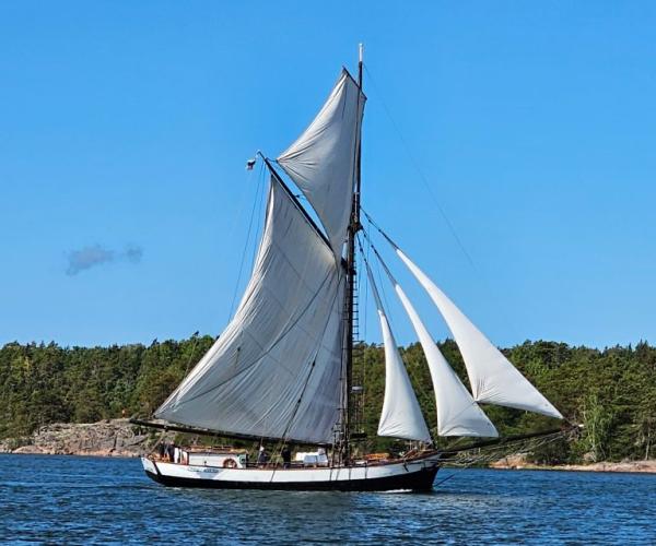 m/s Eugenia purjeet auki merellä.