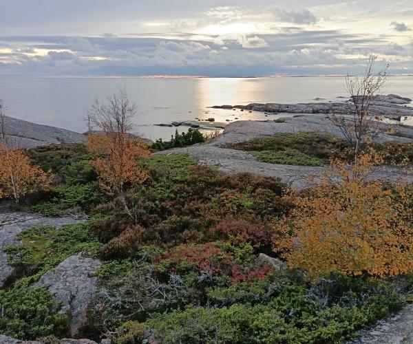Meri, kallioita ja ruskaa. ©Matka-Launokorpi/Jenni Kosunen.