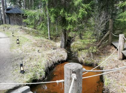 Storfinnhova