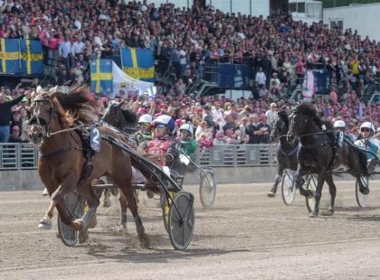 Kuva: Elitloppet