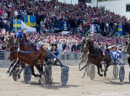 Kuva: Elitloppet