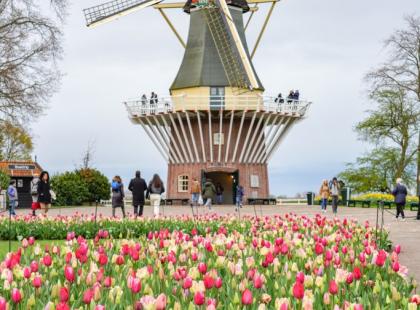 Kuva: Keukenhof