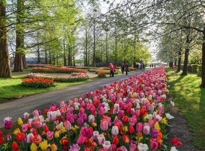 Kuva: Keukenhof