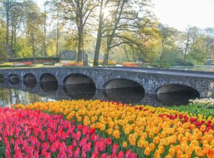 Kuva: Keukenhof