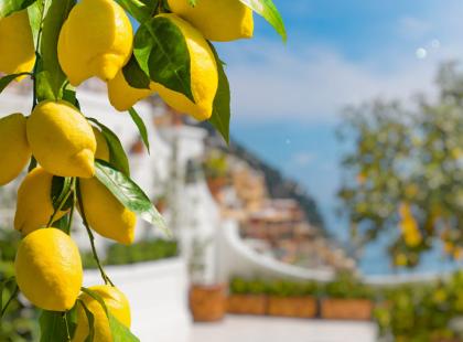 Limone sul Garda kuva: Lagi di Garda