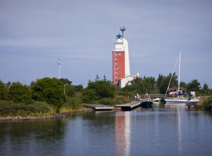 Kylmäpihlaja, kuva Visit Rauma