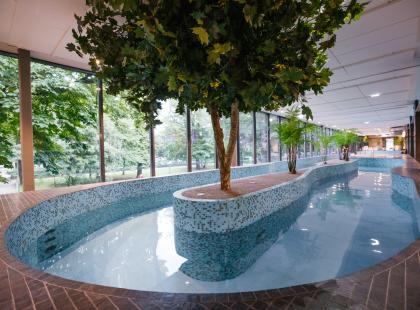 Kalev Spa hotellin sisäuima-allas, jonka keskellä tekopuu.