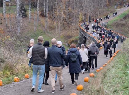 Rannikon Puutarhan Kurpitsapuisto, kuva: Juurevasti Juurista