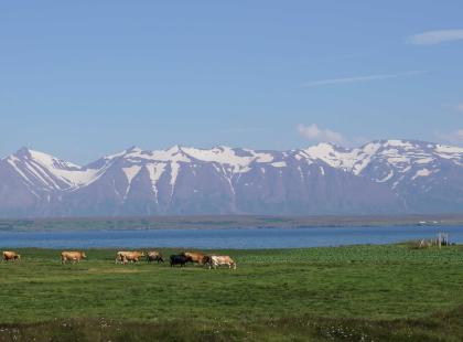 Eyjafjördur