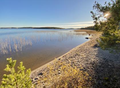 Norppapolku - hiekkaranta, järvi, puita