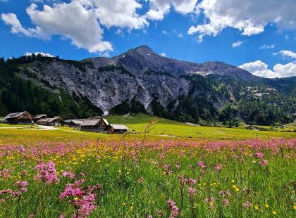 Ursprungalmin maisemia.