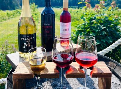 Meggalan viinitilan viinejä.