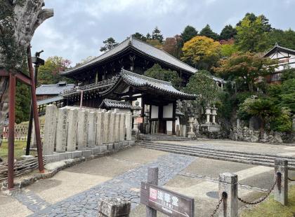 Peurojen ja temppeliden Nara.