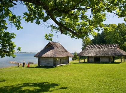 Viron ulkoilmamuseon vanhoja rakennuksia.