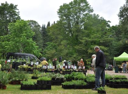 Ihmisiä taimiostoksilla Mustilan Taimipäivillä.