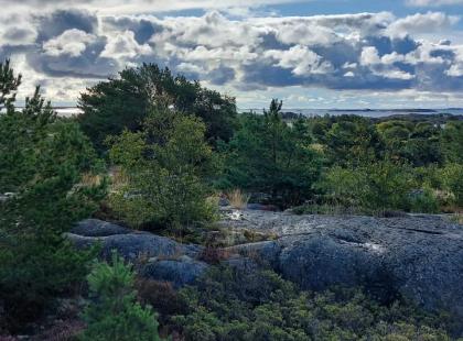 Trunsön maisemia. Kuva Ben Johansson
