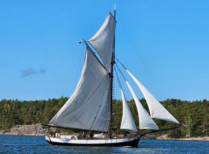 m/s Eugenia purjeet auki merellä.