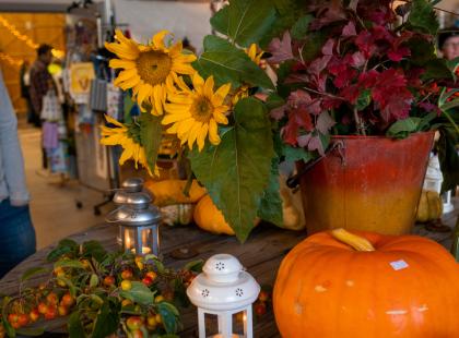 Kurpitsoja ja auringonkukkia.