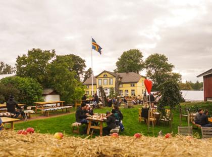 Ihmisiä ja Ahvenanmaan lippu Skördefestenissä.