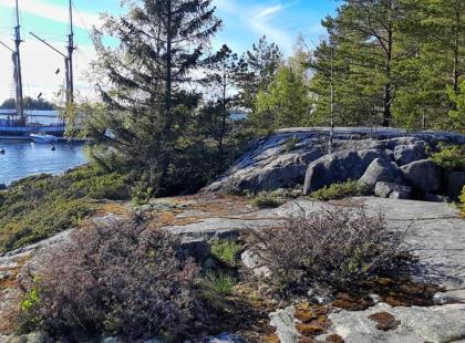 Kaljaasi Ihana Nirvon saaren edustalla.