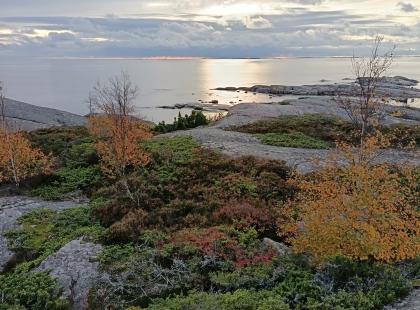Meri, kallioita ja ruskaa. ©Matka-Launokorpi/Jenni Kosunen.
