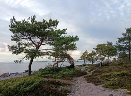 Luontopolku Örössä rannalla. ©Matka-Launokorpi/Jenni Kosunen.